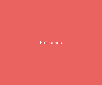 batrachus meaning, definitions, synonyms