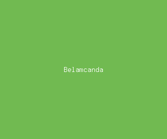 belamcanda meaning, definitions, synonyms