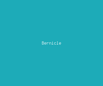 bernicle meaning, definitions, synonyms