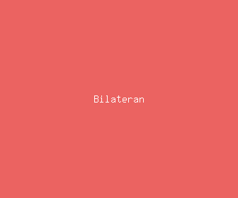 bilateran meaning, definitions, synonyms