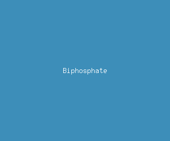 biphosphate meaning, definitions, synonyms