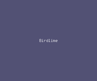 birdlime meaning, definitions, synonyms