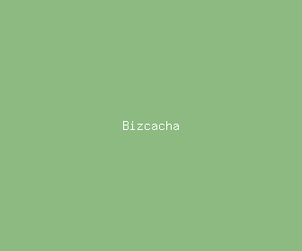 bizcacha meaning, definitions, synonyms