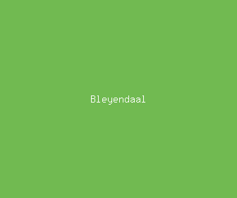 bleyendaal meaning, definitions, synonyms