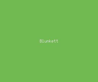 blunkett meaning, definitions, synonyms