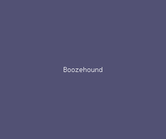 boozehound meaning, definitions, synonyms
