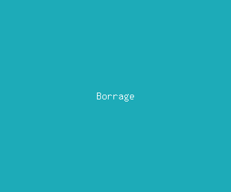 borrage meaning, definitions, synonyms