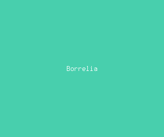borrelia meaning, definitions, synonyms