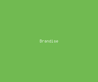 brandise meaning, definitions, synonyms