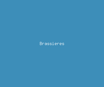 brassieres meaning, definitions, synonyms