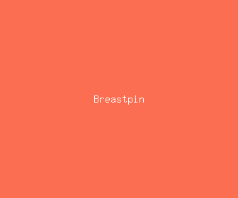 breastpin meaning, definitions, synonyms