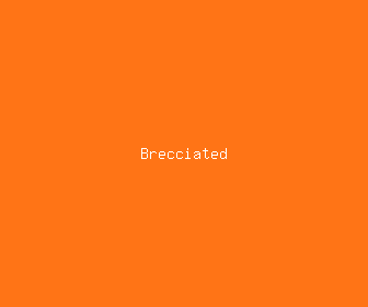 brecciated meaning, definitions, synonyms