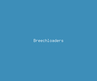 breechloaders meaning, definitions, synonyms