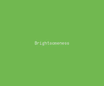 brightsomeness meaning, definitions, synonyms