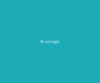 brockage meaning, definitions, synonyms