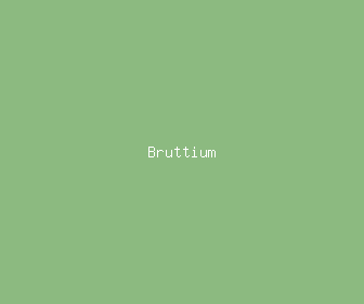 bruttium meaning, definitions, synonyms