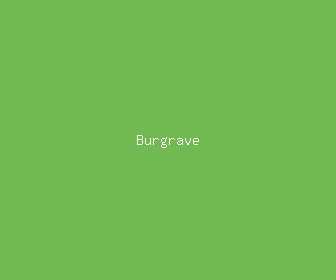 burgrave meaning, definitions, synonyms
