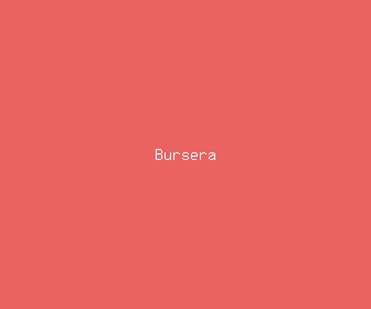 bursera meaning, definitions, synonyms