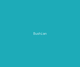 bushian meaning, definitions, synonyms