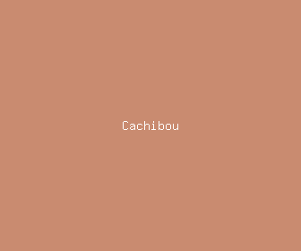 cachibou meaning, definitions, synonyms