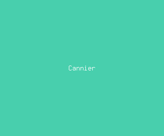 cannier meaning, definitions, synonyms