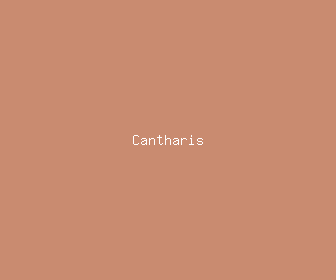 cantharis meaning, definitions, synonyms