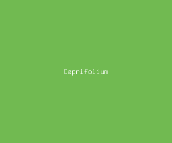 caprifolium meaning, definitions, synonyms