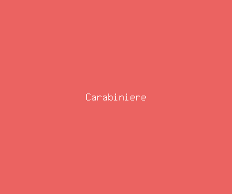 carabiniere meaning, definitions, synonyms