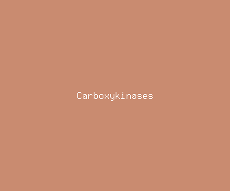 carboxykinases meaning, definitions, synonyms