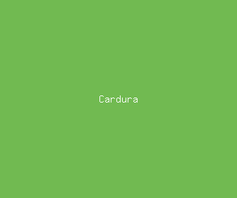 cardura meaning, definitions, synonyms