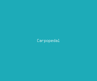 carpopedal meaning, definitions, synonyms