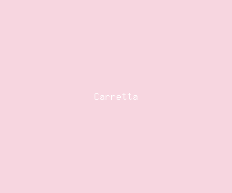 carretta meaning, definitions, synonyms