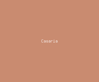 casaria meaning, definitions, synonyms