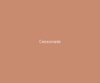 cassonade meaning, definitions, synonyms