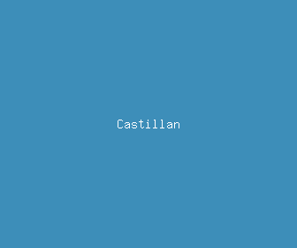 castillan meaning, definitions, synonyms