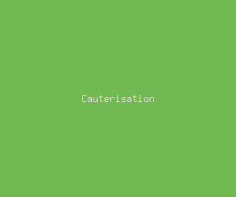 cauterisation meaning, definitions, synonyms