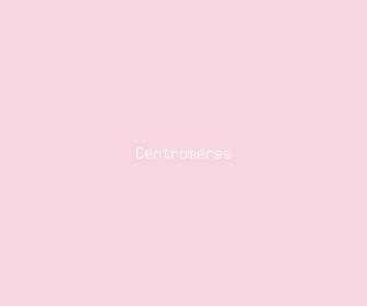 centromeres meaning, definitions, synonyms