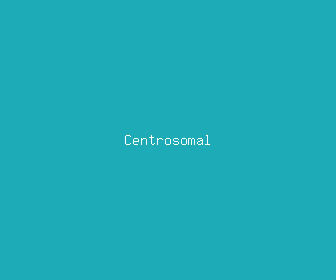 centrosomal meaning, definitions, synonyms