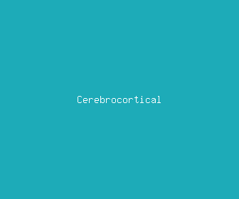 cerebrocortical meaning, definitions, synonyms