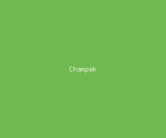 champak meaning, definitions, synonyms