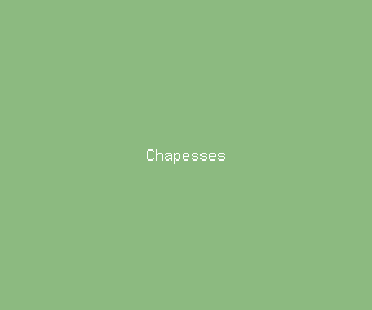 chapesses meaning, definitions, synonyms