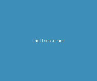 cholinesterase meaning, definitions, synonyms