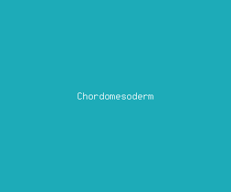 chordomesoderm meaning, definitions, synonyms