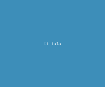 ciliata meaning, definitions, synonyms