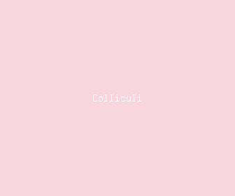 colliculi meaning, definitions, synonyms