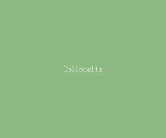collocalia meaning, definitions, synonyms