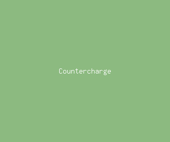 countercharge meaning, definitions, synonyms