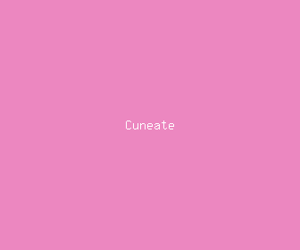 cuneate meaning, definitions, synonyms