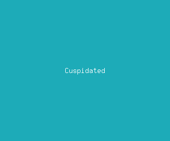 cuspidated meaning, definitions, synonyms