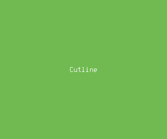 cutline meaning, definitions, synonyms